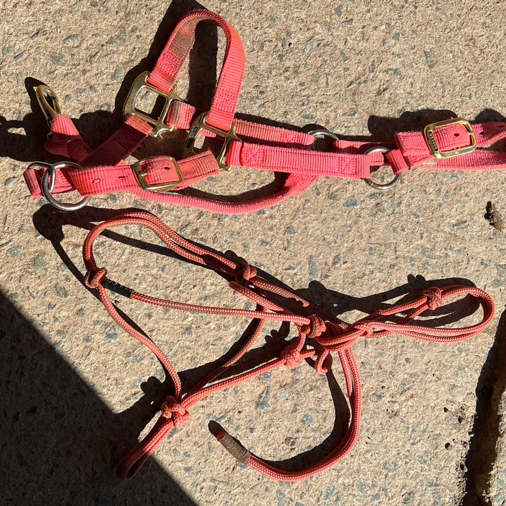 Yearling size Weaver nylon halter and yearling size Blondies Cinches rope halter